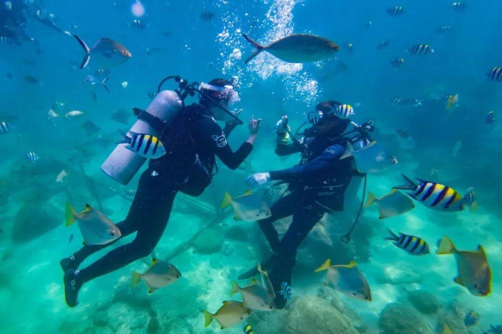 中原突围算成功吗？皮旅、鄂东独2旅，才是藏在突围中的英雄部队